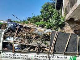 Best Appliance Removal  in Snowflake, AZ
