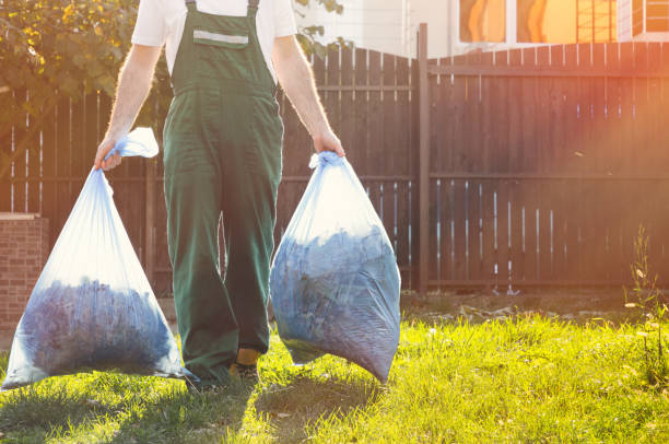 Best Carpet Removal and Disposal  in Snowflake, AZ